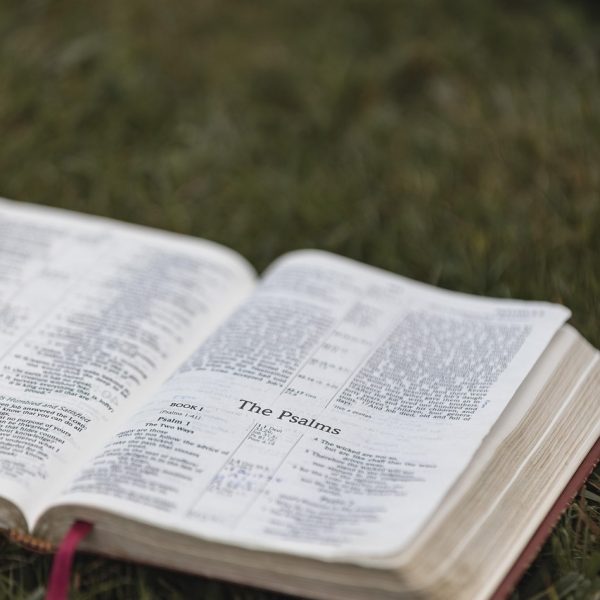 bible-7713234_1280 bible-7713234_1280